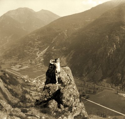 Nu masculin posant sur un rocher dans une vallée montagneuse, c.1910 - Unbekannt Unbekannt